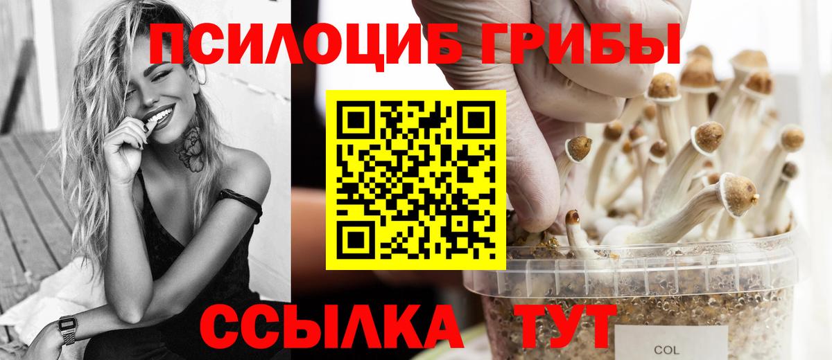 Галлюциногенные грибы MAGIC MUSHROOMS  Псилоцибиновые грибы Psilocybe  Вход с VPN  Южноуральск 
